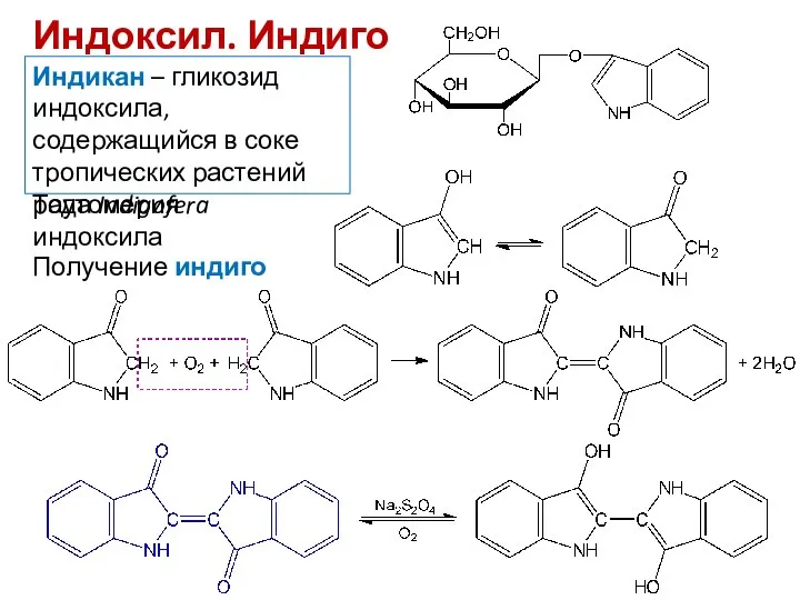 Индоксил. Индиго Индикан – гликозид индоксила, содержащийся в соке тропических растений