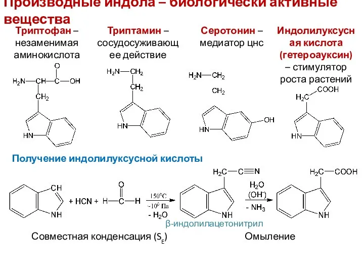 Производные индола – биологически активные вещества Триптофан – незаменимая аминокислота Триптамин