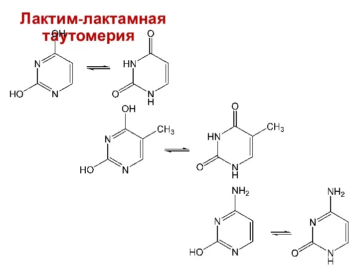 Лактим-лактамная таутомерия