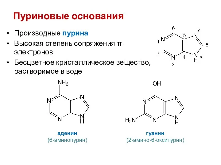 Пуриновые основания Производные пурина Высокая степень сопряжения π-электронов Бесцветное кристаллическое вещество,