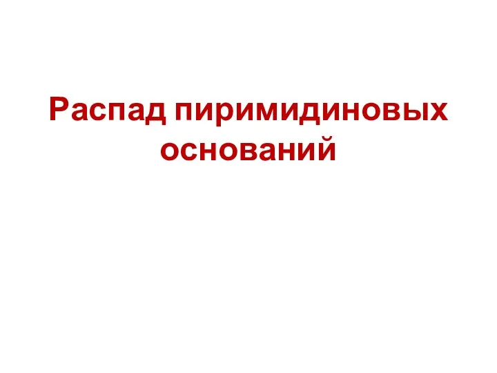 Распад пиримидиновых оснований