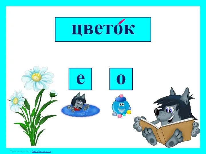 цветок о е