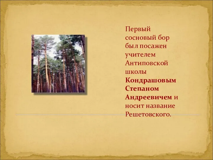 Первый сосновый бор был посажен учителем Антиповской школы Кондрашовым Степаном Андреевичем и носит название Решетовского.
