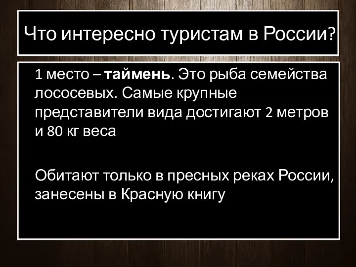 Что интересно туристам в России? 1 место – таймень. Это рыба