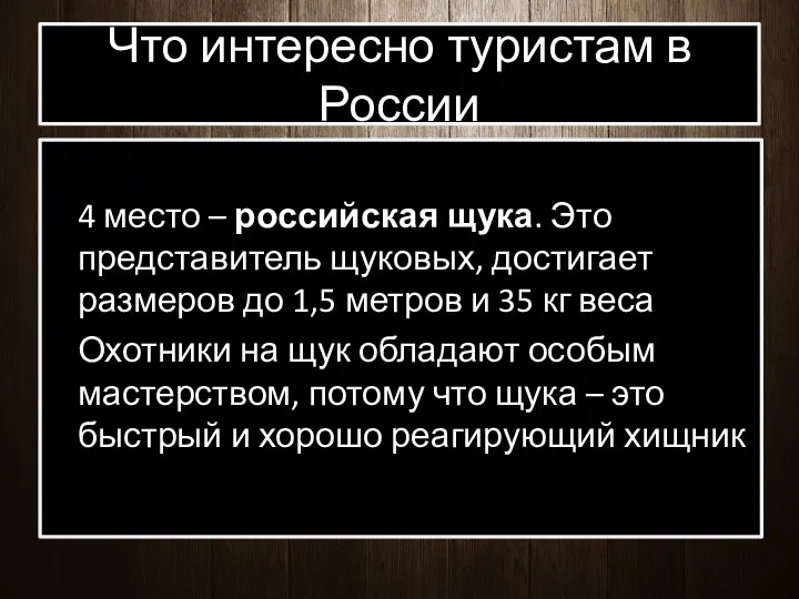 Что интересно туристам в России 4 место – российская щука. Это