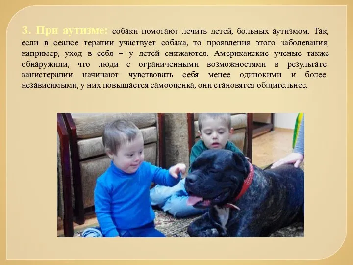 3. При аутизме: собаки помогают лечить детей, больных аутизмом. Так, если