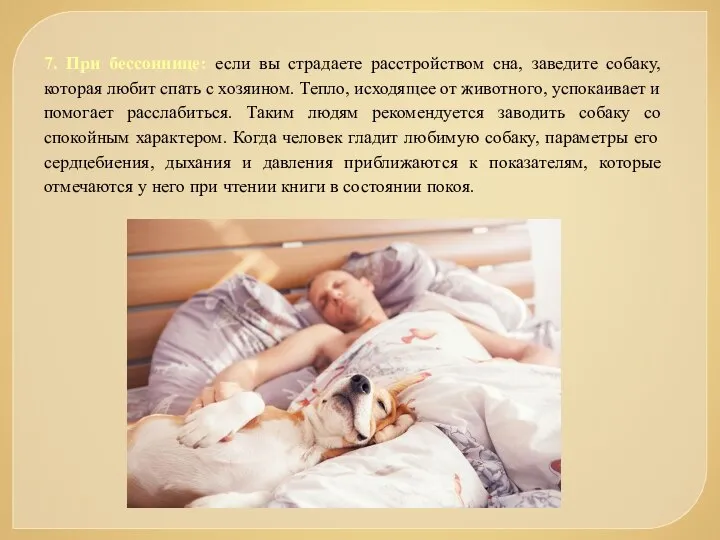 7. При бессоннице: если вы страдаете расстройством сна, заведите собаку, которая