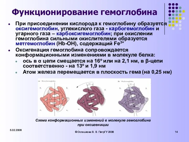 5.02.2008 © Осташкова В. В. ПетрГУ 2008 5.02.2008 © Осташкова В.