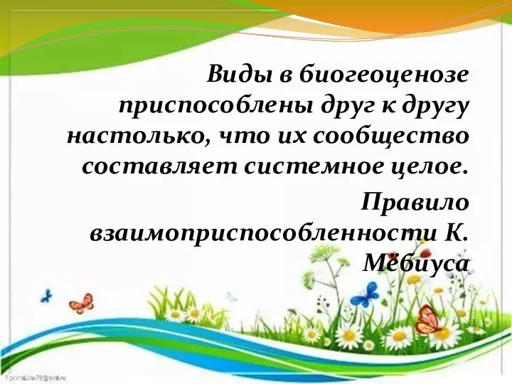 Виды в биогеоценозе приспособлены друг к другу настолько, что их сообщество