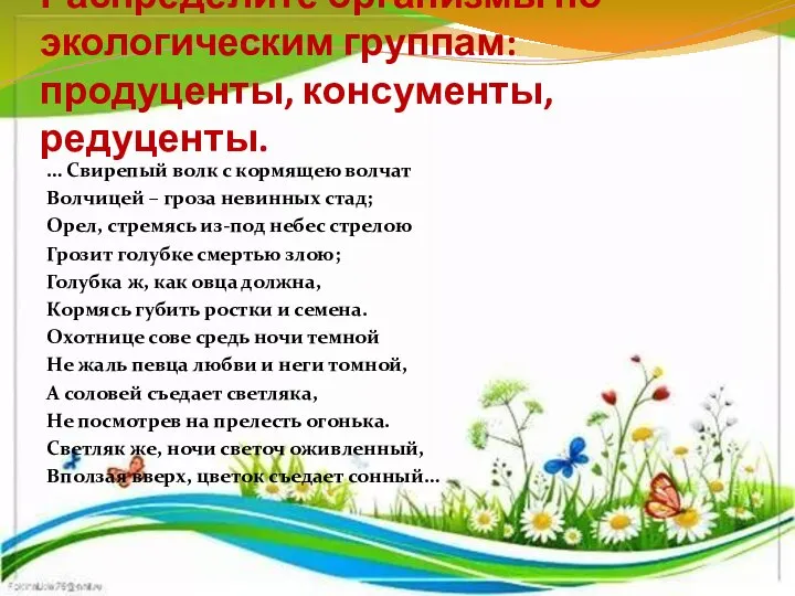 Распределите организмы по экологическим группам: продуценты, консументы, редуценты. … Свирепый волк