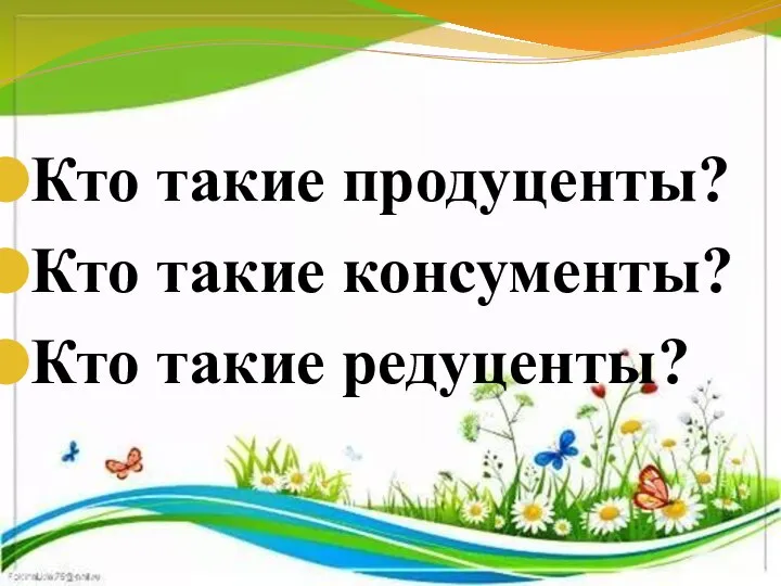 Кто такие продуценты? Кто такие консументы? Кто такие редуценты?