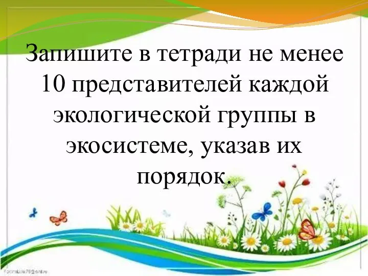 Запишите в тетради не менее 10 представителей каждой экологической группы в экосистеме, указав их порядок.