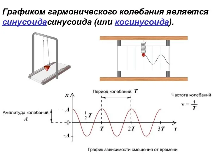 Графиком гармонического колебания является синусоидасинусоида (или косинусоида).