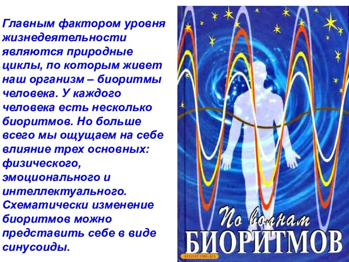 Главным фактором уровня жизнедеятельности являются природные циклы, по которым живет наш
