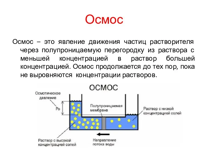 Осмос Осмос – это явление движения частиц растворителя через полупроницаемую перегородку