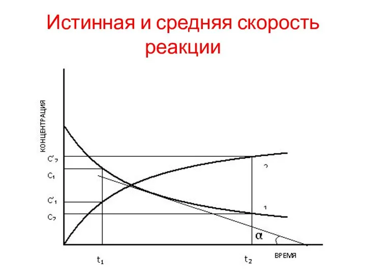 Истинная и средняя скорость реакции