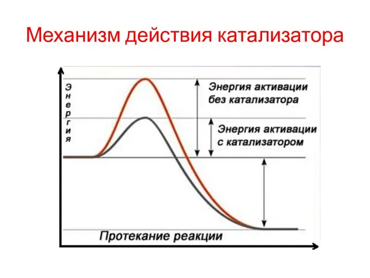 Механизм действия катализатора