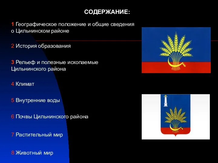 СОДЕРЖАНИЕ: 1 Географическое положение и общие сведения о Цильнинском районе 3