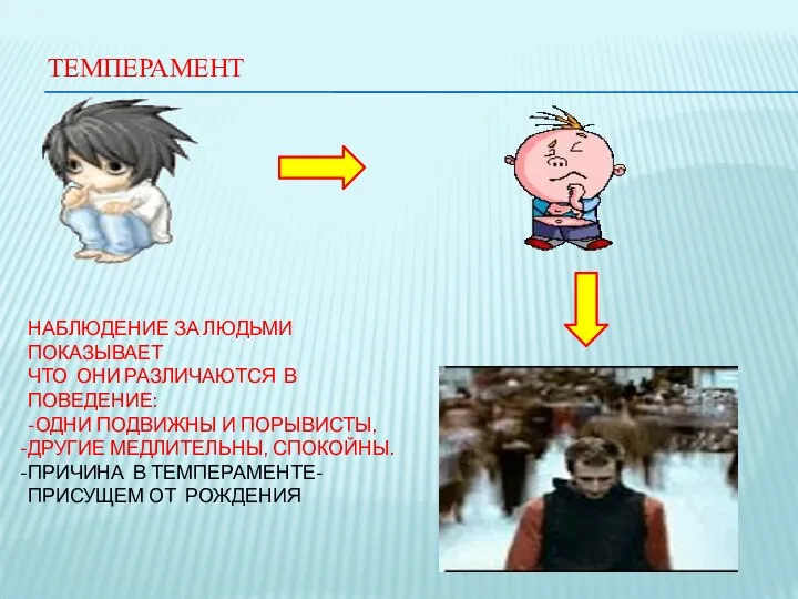 ТЕМПЕРАМЕНТ НАБЛЮДЕНИЕ ЗА ЛЮДЬМИ ПОКАЗЫВАЕТ ЧТО ОНИ РАЗЛИЧАЮТСЯ В ПОВЕДЕНИЕ: -ОДНИ