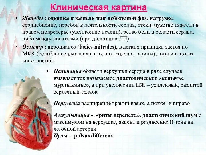 Жалобы : одышка и кашель при небольшой физ. нагрузке, сердцебиение, перебои