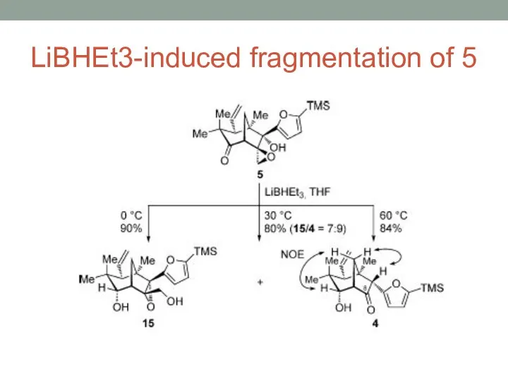 LiBHEt3-induced fragmentation of 5