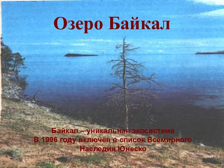 Озеро Байкал Байкал – уникальная экосистема В 1996 году включён в список Всемирного Наследия Юнеско