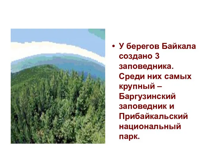 У берегов Байкала создано 3 заповедника. Среди них самых крупный –Баргузинский заповедник и Прибайкальский национальный парк.