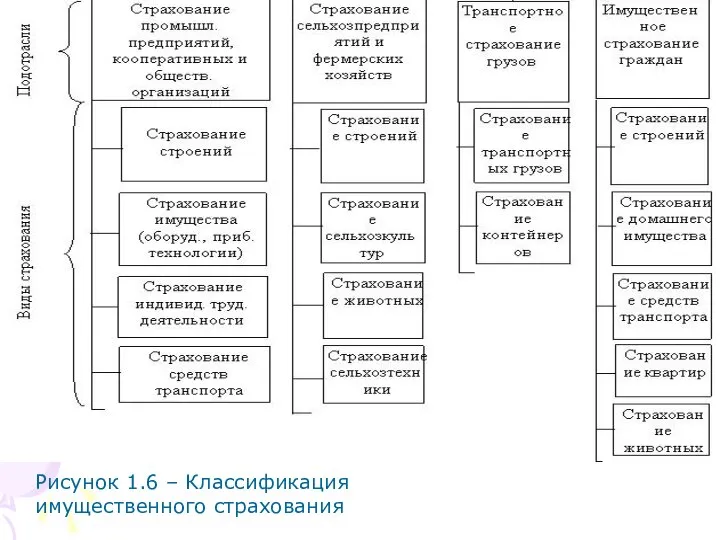 Рисунок 1.6 – Классификация имущественного страхования