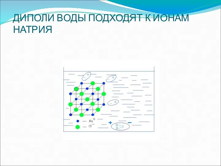 ДИПОЛИ ВОДЫ ПОДХОДЯТ К ИОНАМ НАТРИЯ