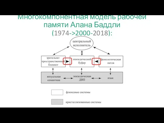 Многокомпонентная модель рабочей памяти Алана Баддли (1974->2000-2018):