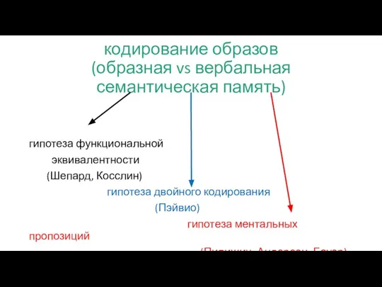 кодирование образов (образная vs вербальная семантическая память) гипотеза функциональной эквивалентности (Шепард,