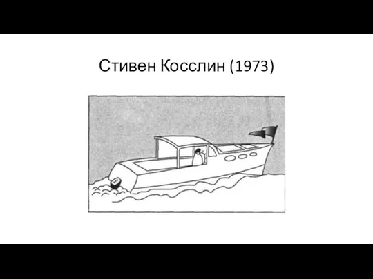 Стивен Косслин (1973)