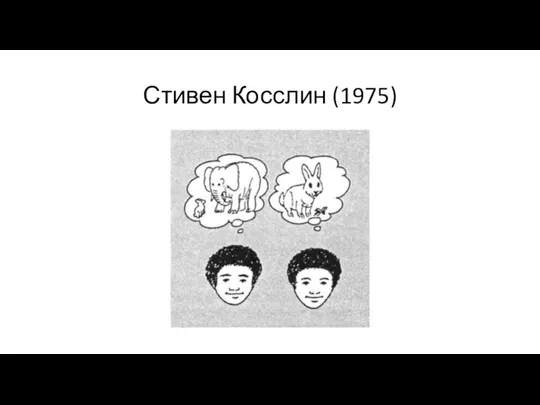 Стивен Косслин (1975)