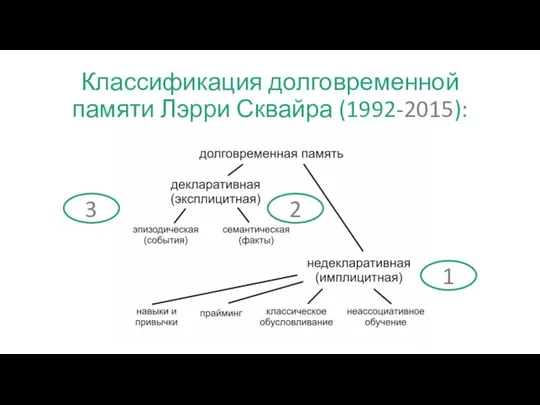 Классификация долговременной памяти Лэрри Сквайра (1992-2015): 2 1 3