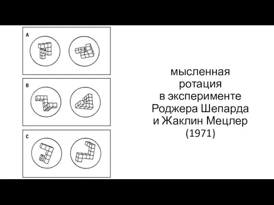 мысленная ротация в эксперименте Роджера Шепарда и Жаклин Мецлер (1971)