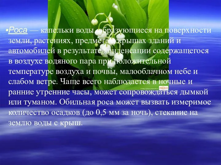 Роса — капельки воды, образующиеся на поверхности земли, растениях, предметах, крышах