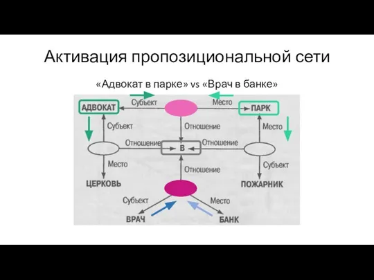 Активация пропозициональной сети «Адвокат в парке» vs «Врач в банке»