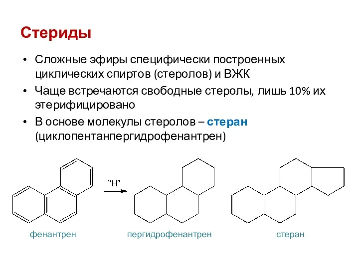 Стериды Сложные эфиры специфически построенных циклических спиртов (стеролов) и ВЖК Чаще