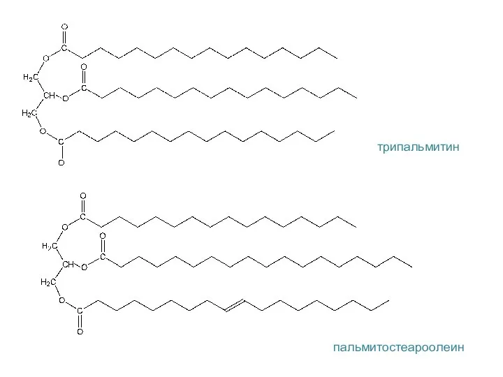 трипальмитин пальмитостеароолеин