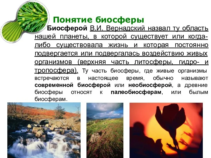 Понятие биосферы Биосферой В.И. Вернадский назвал ту область нашей планеты, в