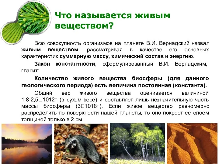 Что называется живым веществом? Всю совокупность организмов на планете В.И. Вернадский