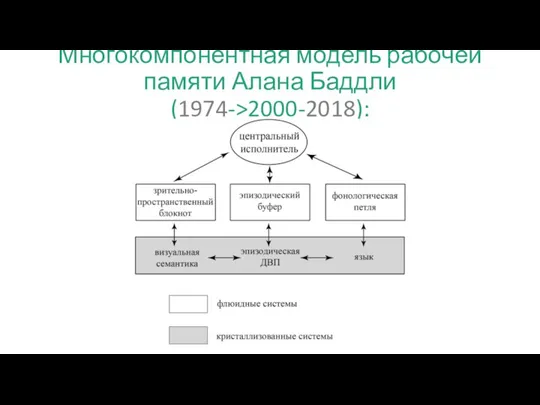 Многокомпонентная модель рабочей памяти Алана Баддли (1974->2000-2018):