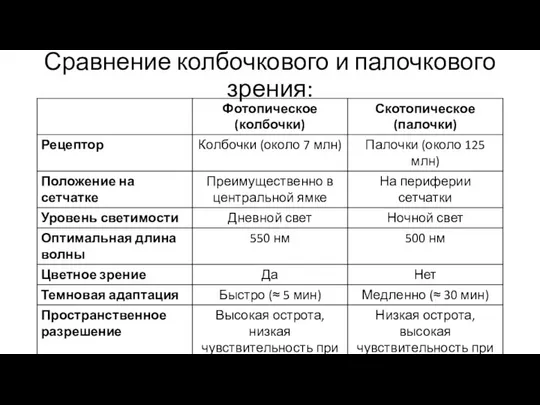 Сравнение колбочкового и палочкового зрения: