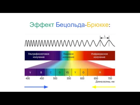 Эффект Бецольда-Брюкке: