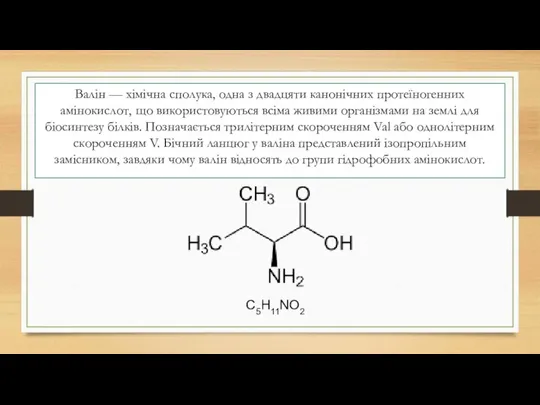 Валін — хімічна сполука, одна з двадцяти канонічних протеїногенних амінокислот, що