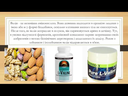 Валін - це незамінна амінокислота. Вона повинна надходити в організм людини