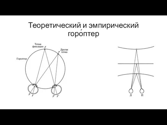 Теоретический и эмпирический горо́птер