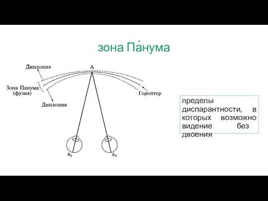 зона Па́нума пределы диспарантности, в которых возможно видение без двоения