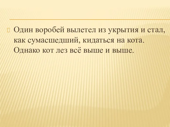 Один воробей вылетел из укрытия и стал, как сумасшедший, кидаться на