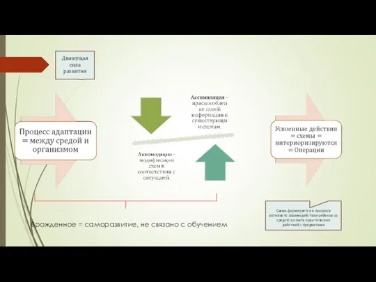 Движущая сила развития Врожденное = саморазвитие, не связано с обучением Схема